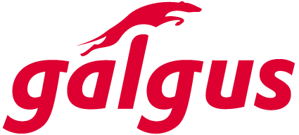 Galgus